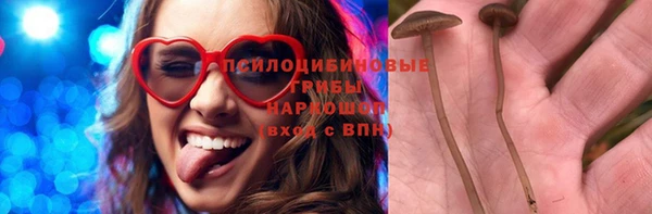 твердый Верея