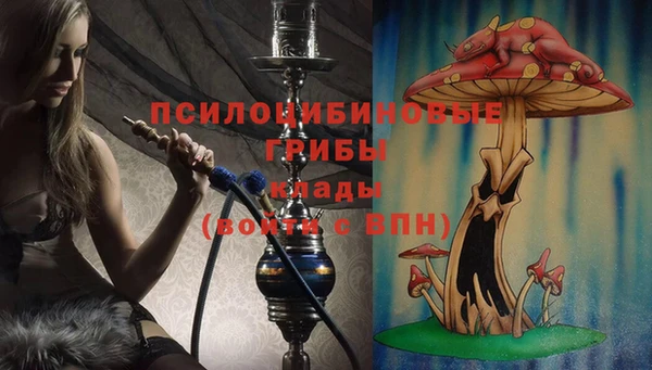 стаф Володарск