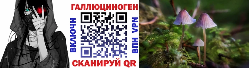 Галлюциногенные грибы MAGIC MUSHROOMS  кракен сайт  дарк нет Telegram  где найти   Вязьма 